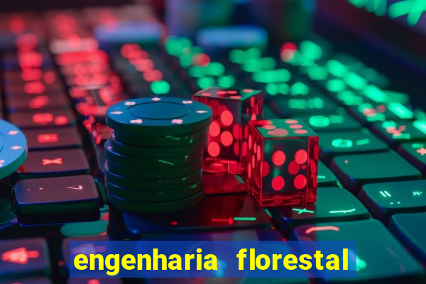 engenharia florestal ead cruzeiro do sul