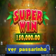 ver passarinho morto significado espiritual