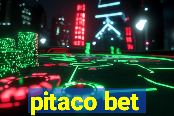 pitaco bet