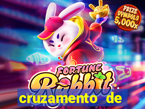 cruzamento de cavalo com mula
