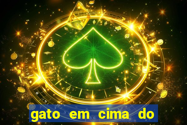gato em cima do telhado significado espiritual