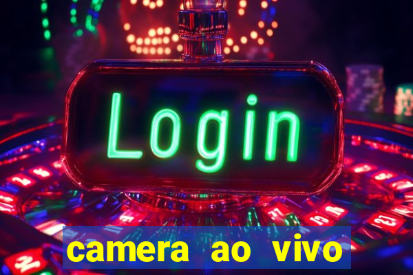 camera ao vivo beto carrero