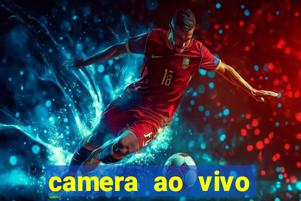 camera ao vivo beto carrero