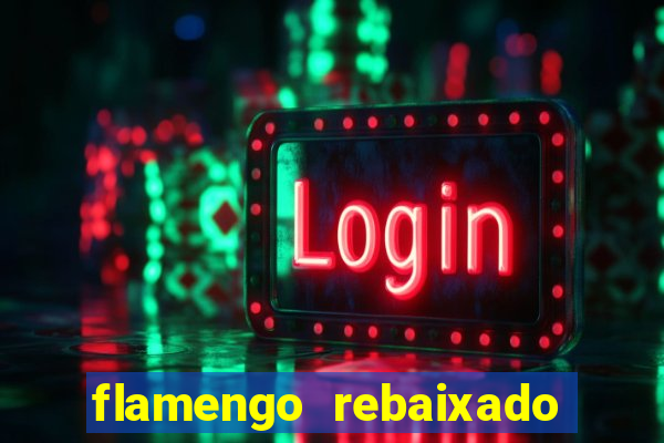 flamengo rebaixado em 1995