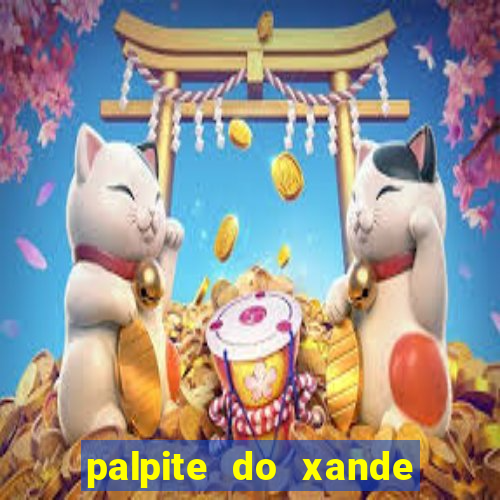 palpite do xande de hoje