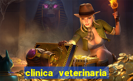 clinica veterinaria cuidar betim