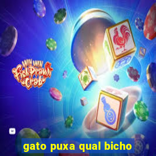 gato puxa qual bicho