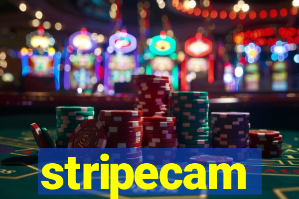 stripecam