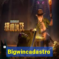 Bigwincadastro