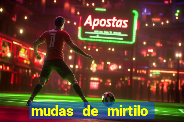 mudas de mirtilo em porto alegre