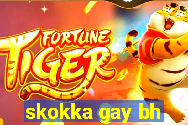 skokka gay bh