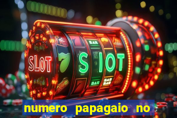 numero papagaio no jogo do bicho