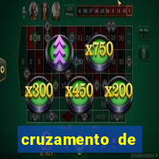 cruzamento de cavalo com jumenta globo rural