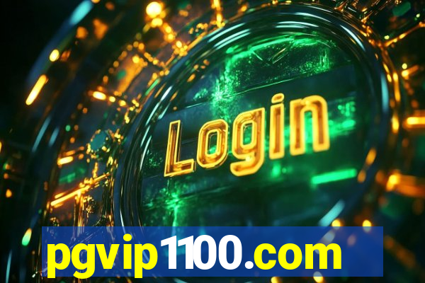 pgvip1100.com