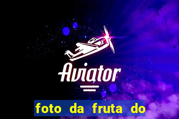 foto da fruta do blox fruits
