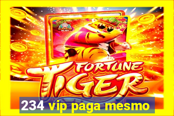 234 vip paga mesmo