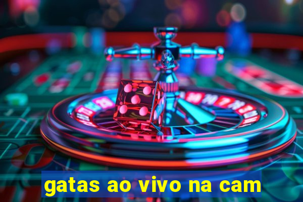 gatas ao vivo na cam