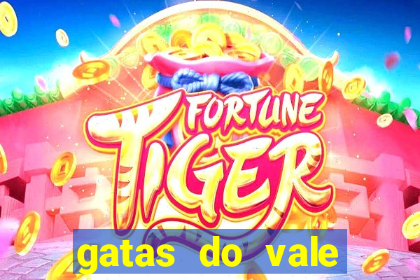 gatas do vale juazeiro bahia
