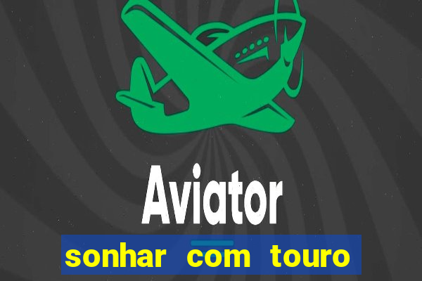 sonhar com touro bravo no mundo espiritual