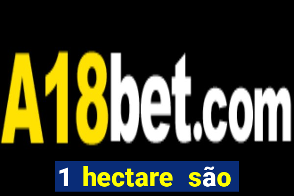 1 hectare são quantas tarefas na bahia