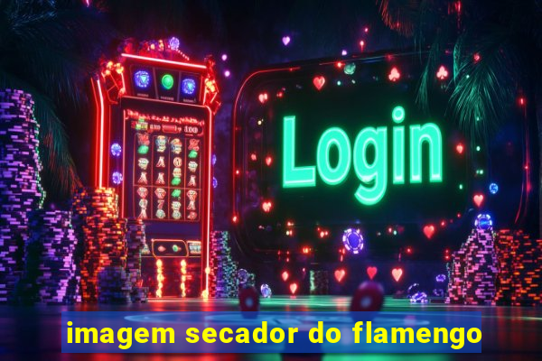 imagem secador do flamengo