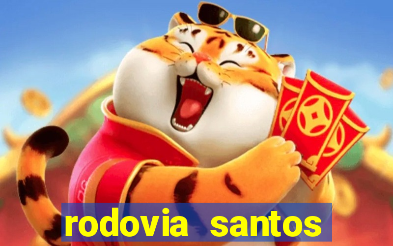 rodovia santos dumont br-116