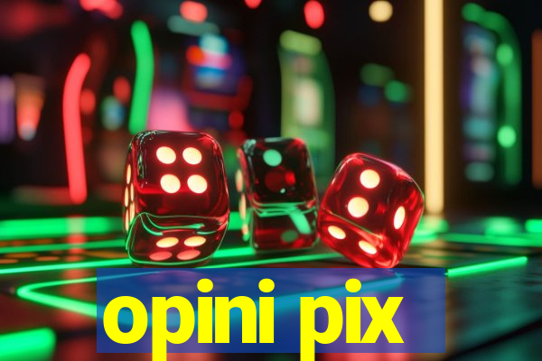 opini pix