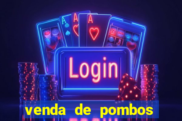 venda de pombos correios olx