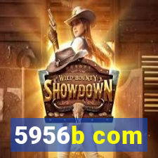 5956b com