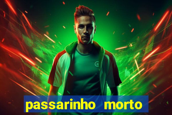 passarinho morto significado espiritual
