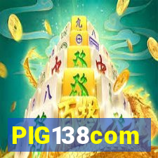 PIG138com