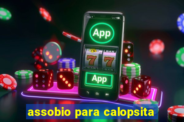 assobio para calopsita