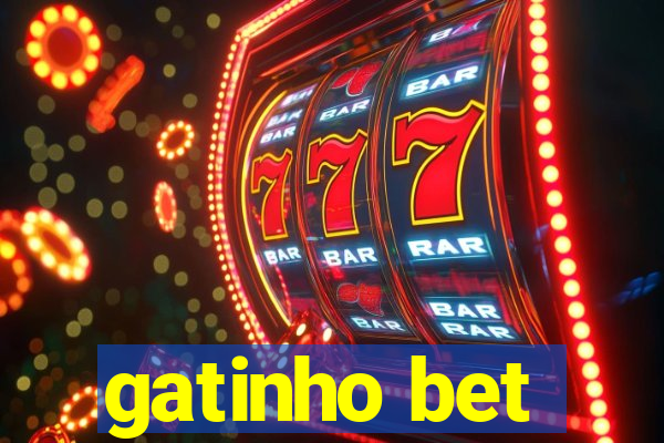 gatinho bet