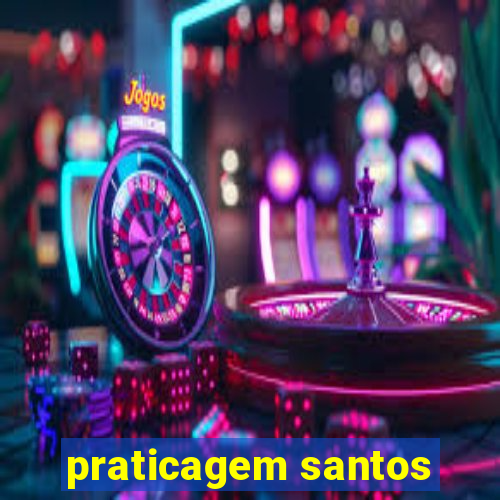 praticagem santos