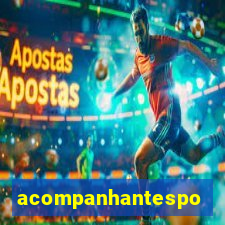 acompanhantesportovelho