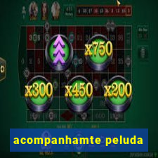 acompanhamte peluda