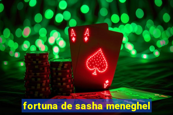 fortuna de sasha meneghel