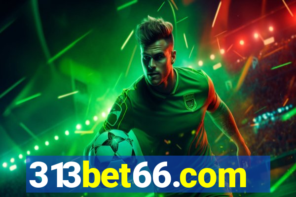 313bet66.com