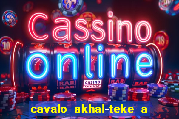 cavalo akhal-teke a venda no brasil cavalo akhal teke no