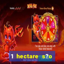 1 hectare s?o quantas tarefas na bahia