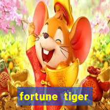fortune tiger cassino pix