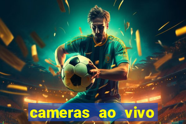 cameras ao vivo beto carrero