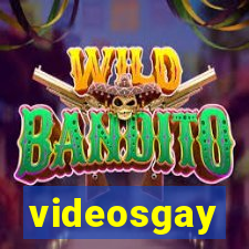 videosgay