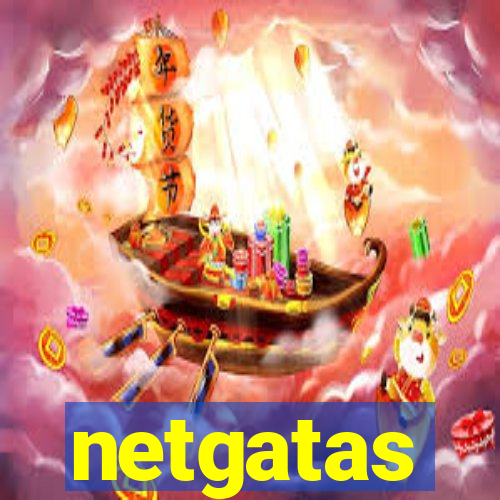 netgatas
