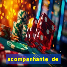 acompanhante de porto seguro
