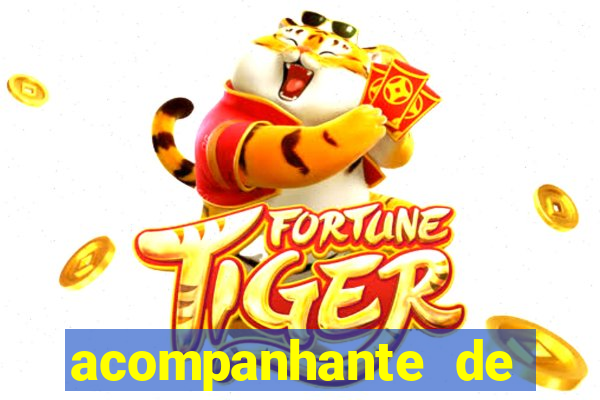 acompanhante de porto seguro