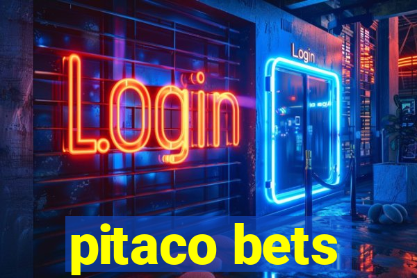 pitaco bets