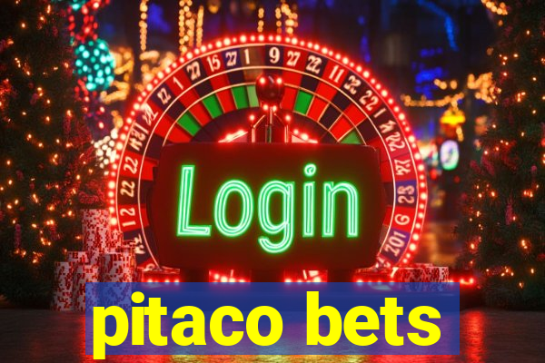 pitaco bets