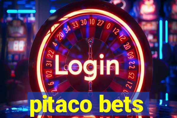 pitaco bets