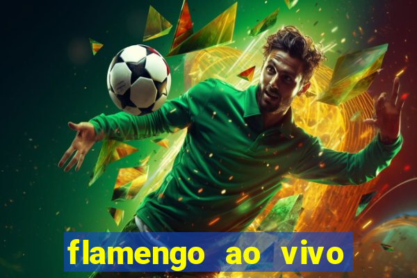 flamengo ao vivo multi tv